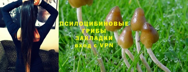 прущая мука Алзамай