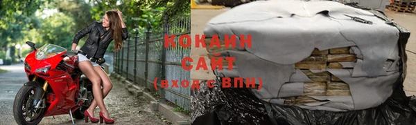 дживик Няндома